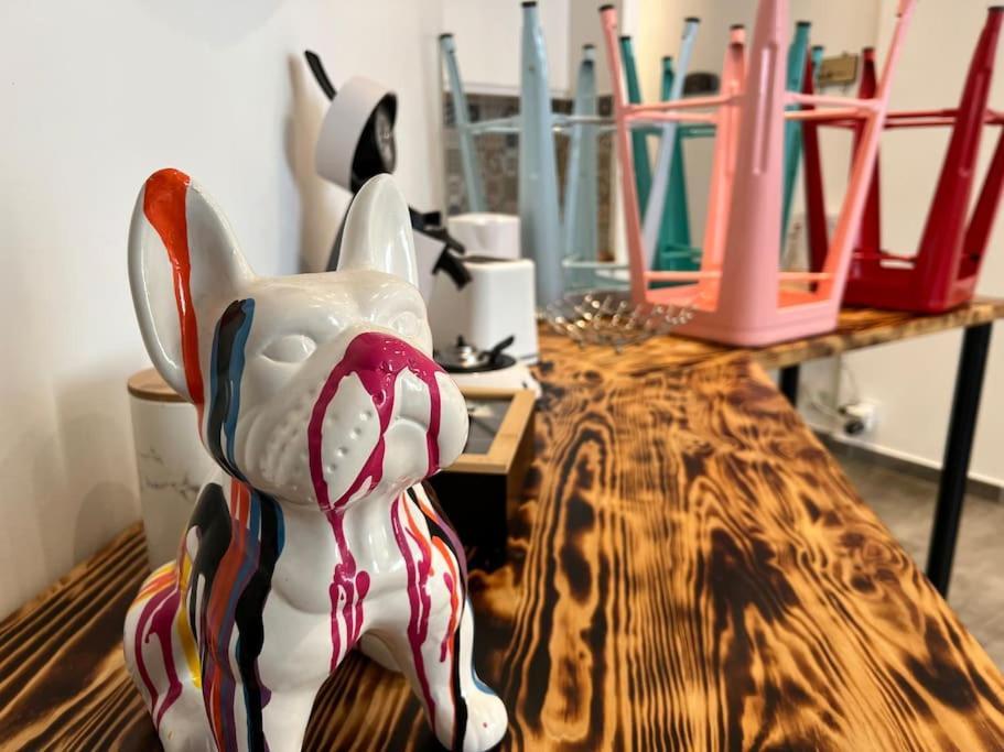 Le Cocon Colore カルカソンヌ エクステリア 写真